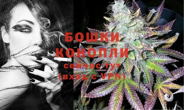 PSILOCYBIN Верхний Тагил
