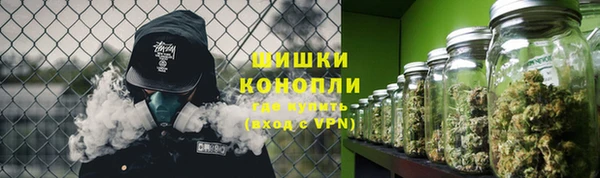 PSILOCYBIN Верхний Тагил